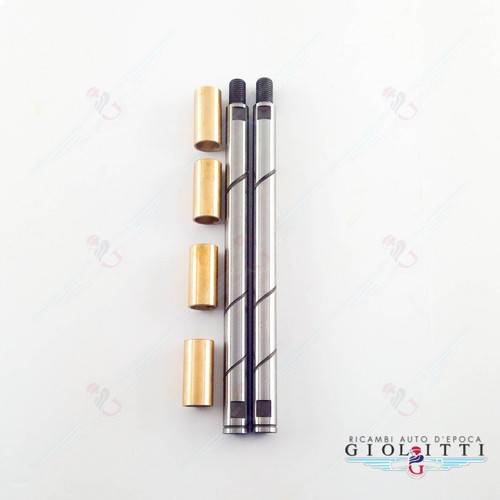 Kit revisione avantreno perni - revisione,